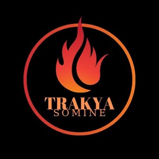 TRAKYA ŞÖMİNE Logo